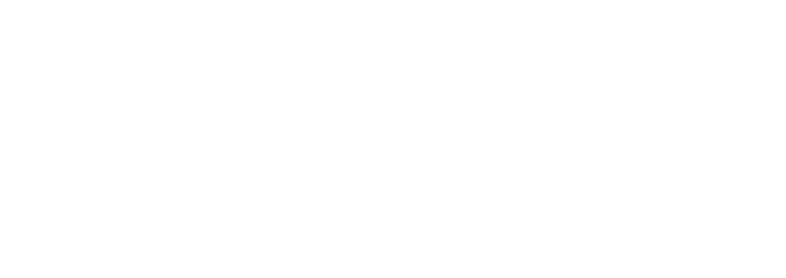 STZ 2026